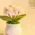 手工编织花束 图片 15