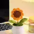 手工编织花束 图片 4