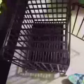 全新狗笼 图片 3