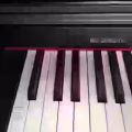 KURZWELL 电子琴 KA-130  图片 2