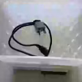出一个双层电蒸锅 图片 2