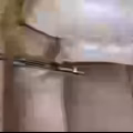 全部用过几次罢了 图片 1