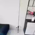 免费送 图片 5