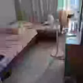 兀兰626女搭房出租 图片 2