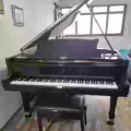 三角鋼琴 Steinway & Sons B-211 图片 3