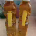 山茶油 图片 3
