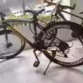 公路自行车 图片 1