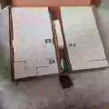 麻将 图片 3