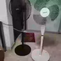 风扇 图片 1