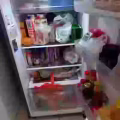 二手冰箱 图片 2