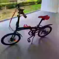 自行车 图片 1