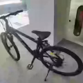 喜德盛自行车 图片 1