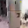 二手冰箱 图片 1