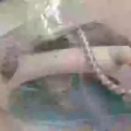 熨斗 图片 2