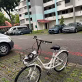 公主自行车，骑着非常轻盈，店铺同款在售，可配送到家 图片 5