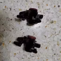 专业修理自行车 图片 2