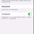 iPhone XS Max 256G 白色 图片 2