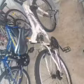 2手自行车 图片 2