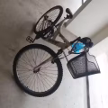 2手自行车 图片 2