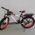 沙滩车 图片 1