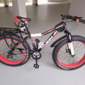 沙滩车 图片 2
