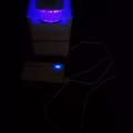 抓蚊子  图片 3