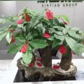 全新.新年植物盆栽装饰挂件.家用商用.大植物小植物都可用 图片 3