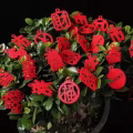 全新.新年植物盆栽装饰挂件.家用商用.大植物小植物都可用 图片 5