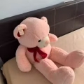 电吹风 图片 2