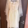 闲置洋装礼服 图片 12