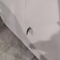 柜子 图片 1