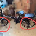 折叠脚车 图片 1