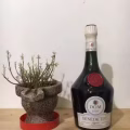 法国郎酒 图片 1