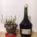 法国郎酒 图片 3