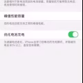 IPHONE XS max 256gb 金色 图片 2