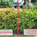 Transform 1 & 2 植物肥料水 图片 5