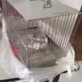 白钢鸟笼 图片 2