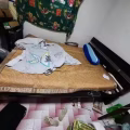 因搬家出售双人床2套，一套木头一套铁的，包床垫 图片 1