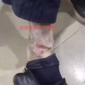 NewLife高浓度负氧离子仪（全岛招商） 图片 2