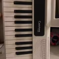 卡西欧Casio电子琴61键 图片 2