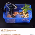 龟缸鱼缸小爬宠盒 图片 3