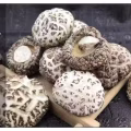 出售香菇 图片 5
