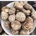 出售香菇 图片 6