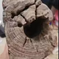 老佛像 图片 2