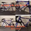 台湾名牌 美利达 公路赛自行车 图片 6