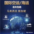 新加坡物流专线，海运、空运承接。欢迎新老客户前来咨询！ 图片 8