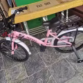 便宜转让全新自行车$100起 图片 3