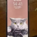 苹果11promax256G 图片 2