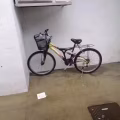 自行车 图片 3