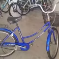 自行车 图片 2